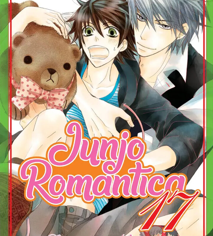 Junjo Romantica 17