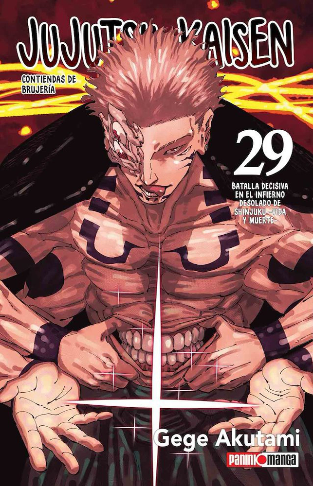 Jujutsu Kaisen 29