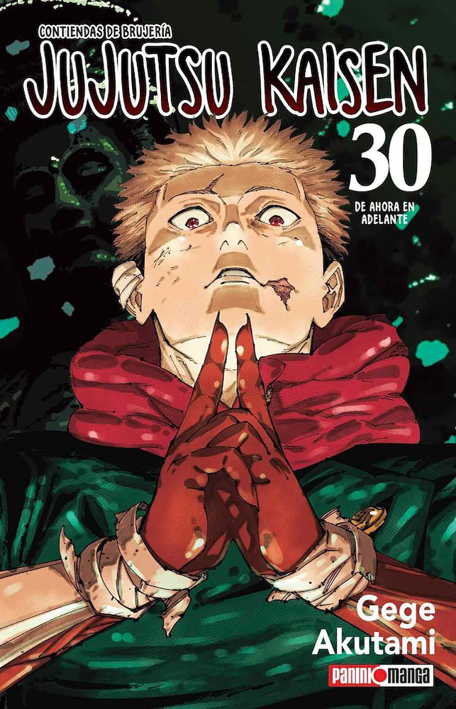 Jujutsu Kaisen 30